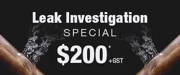 Leak Investigation Discount Onehunga